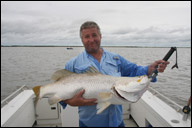 big barra