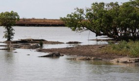 Territory Guided Fishing