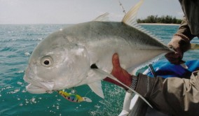 Territory Guided Fishing