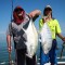 Giant Trevally, Golden Trevally blue holes, Leeders Creek