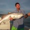 Barramundi trolling Leeders Creek