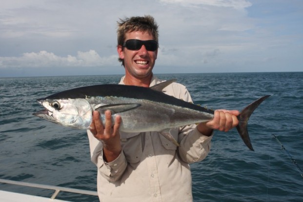sportsfishing, longtail tuna