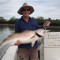 Vernon Island Jewfish