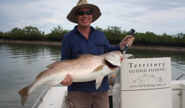 Vernon Island Jewfish