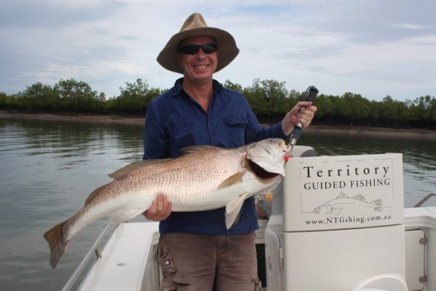 Vernon Island Jewfish