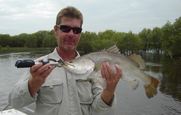 darwin barramundi