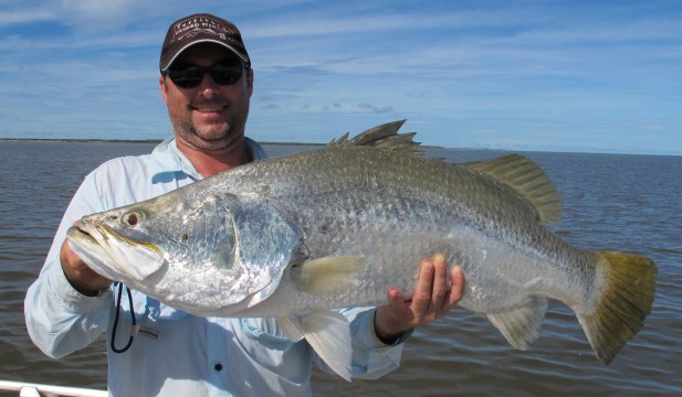 barramundi