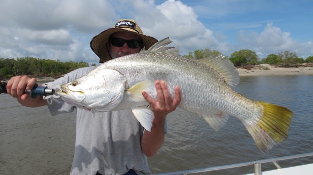 shady camp barramundi