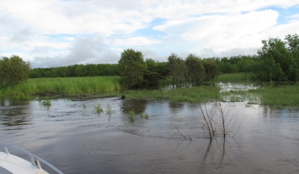 nt barra safari