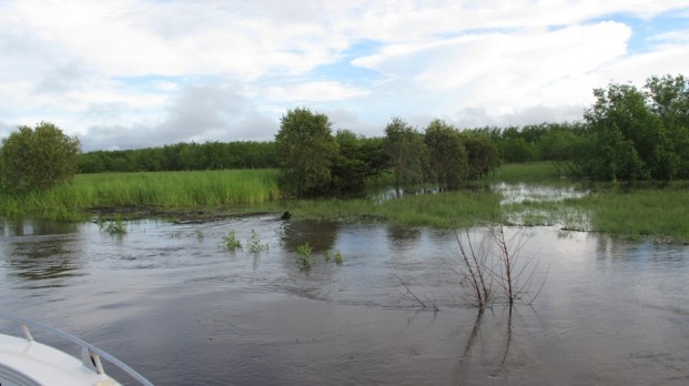 nt barra safari