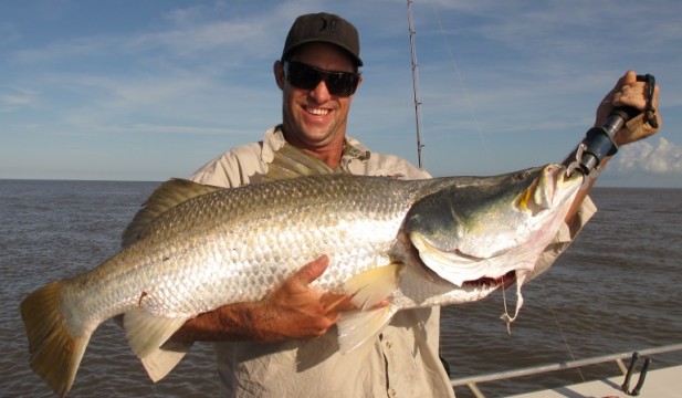 barramundi shady camp metre plus