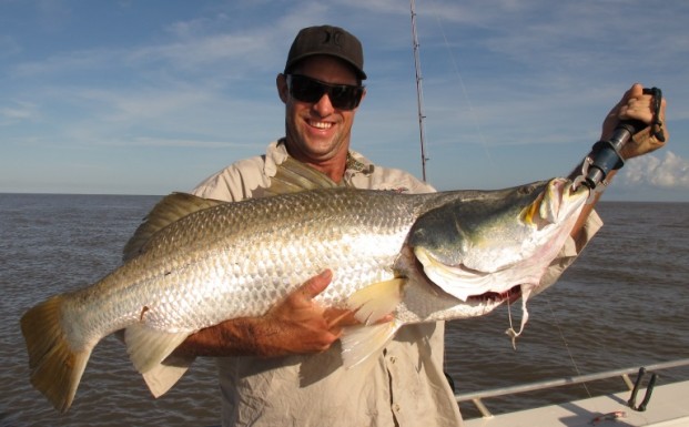 barramundi shady camp metre plus