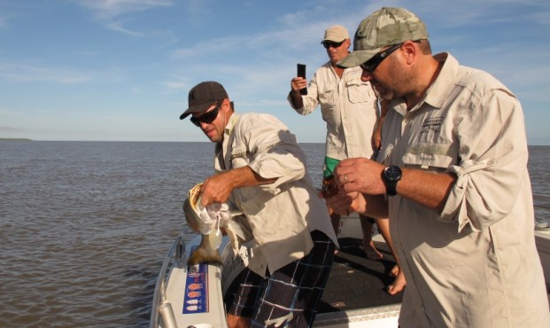 shady camp metre plus barra