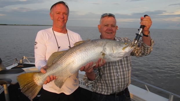 barramundi darwin