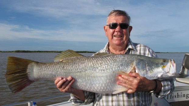 barramundi shady camp