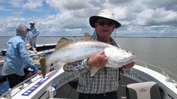 barramundi