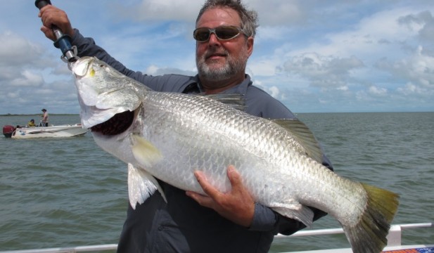 barramundi