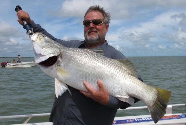 barramundi