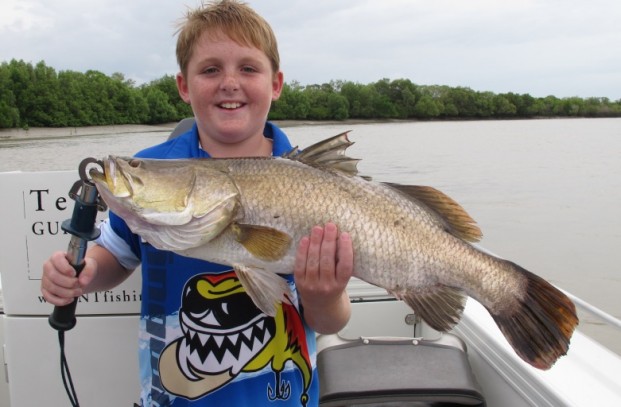 shady camp barramundi