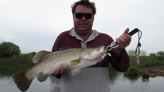 shady camp barramundi