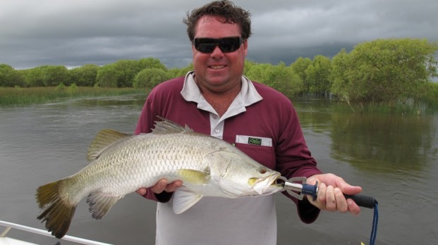 barramundi