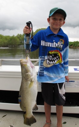 barramundi darwin