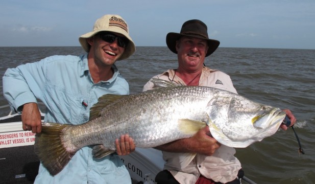 metre plus barramundi