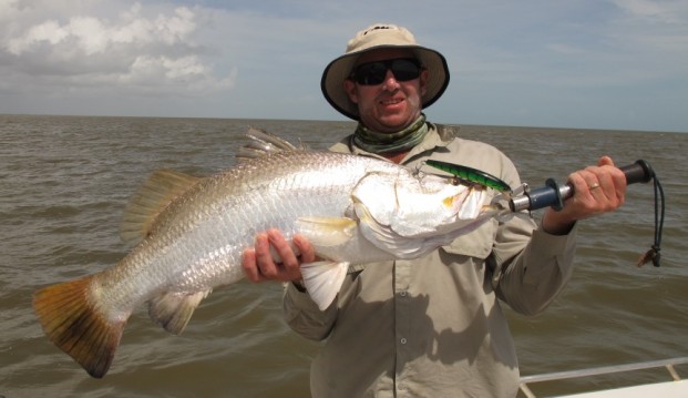 barramundi