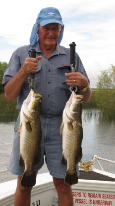 shady camp barramundi