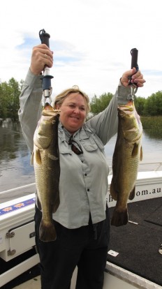 shady camp barramundi