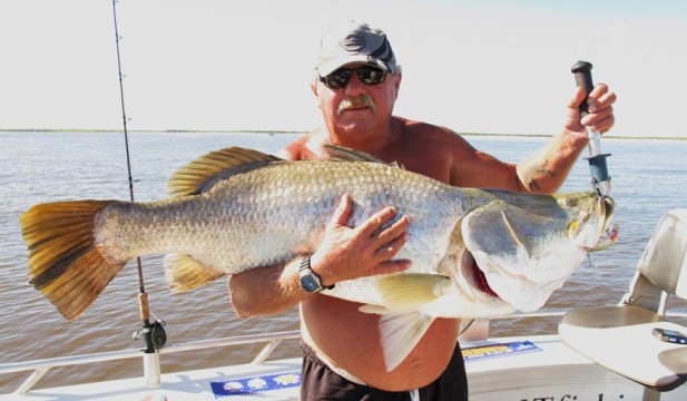 shady camp barramundi