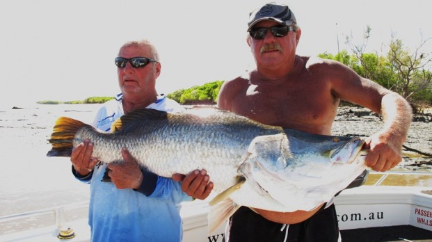 barramundi Northern Territory