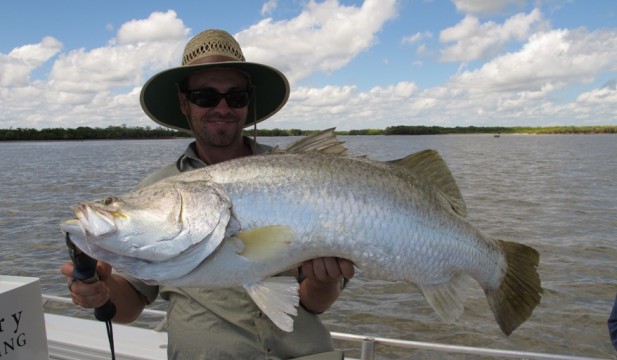 barramundi metre shady camp