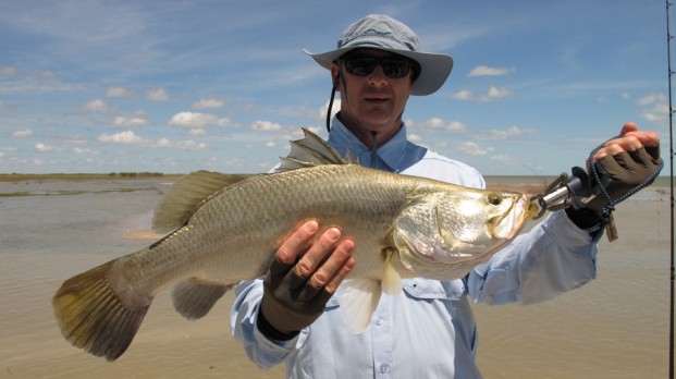 shady camp barramundi