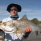fishing shady camp barramundi run off 2012