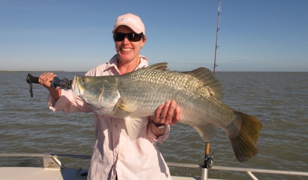 shady camp barramundi