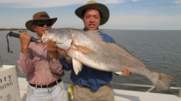 jewfish