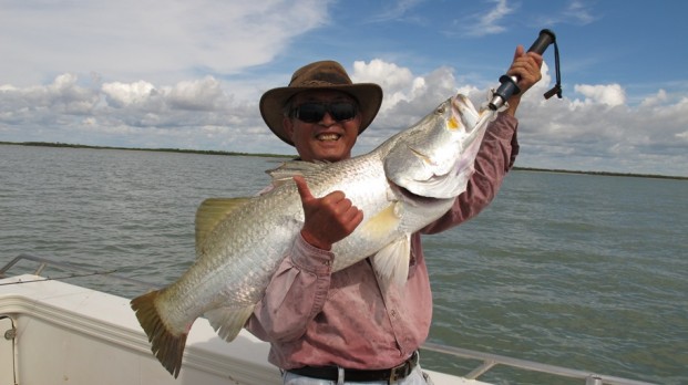 shady camp barramundi