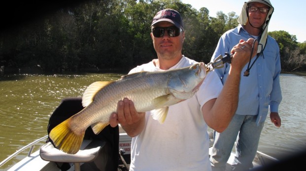 Finnis river barramundi