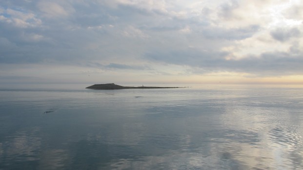 bluewater fishing charter darwin
