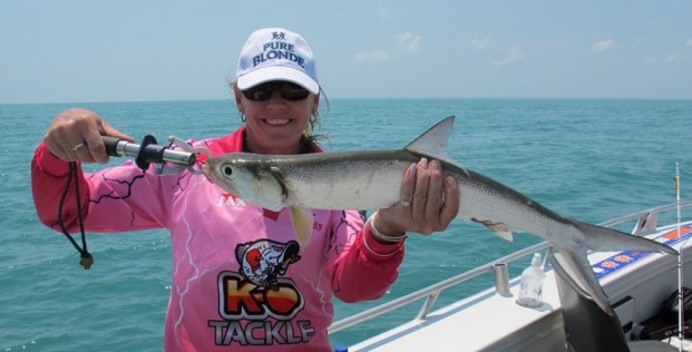 top end barra fishing at its best