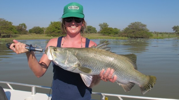 darwin fishing charter territory style