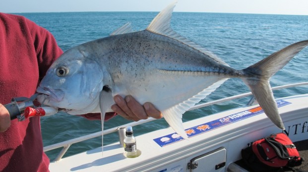 darwin barra fishing tours