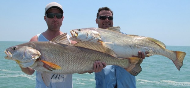 fishing charters the top end