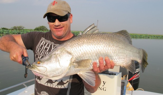 barramundi fishing charter