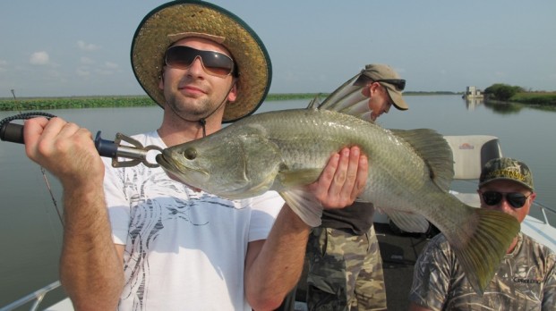 barramundi fish darwin