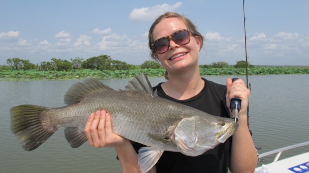 Barramundi fishing northern territory