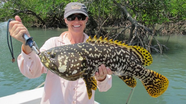 fishing darwin one day charter