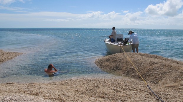 darwin fishing safari. vernon island barra charter