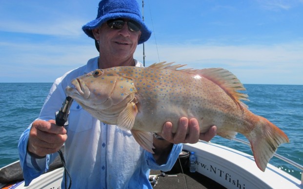 darwin fishing charters day trip